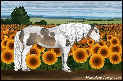 Horse Color:Liver Chestnut Splash Tobiano 