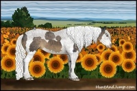 Horse Color:Liver Chestnut Splash Tobiano 