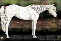 Horse Color:Cremello Mushroom Sabino Near Leopard Rabicano 