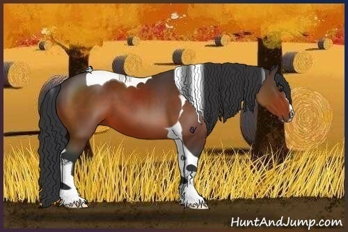 Horse Color:Bay Sabino Tobiano