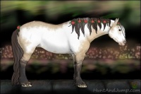 Horse Color:Brown Dun Frame Varnish Rabicano