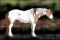 Horse Color:White Spotted Red Dun Tobiano Frame