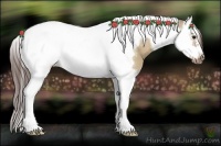 Horse Color:Bay Dun Splash Tobiano Frame Blanket