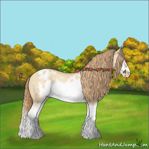 Horse Color:White Spotted Gold Champagne Dun Splash Frame Appaloosa 