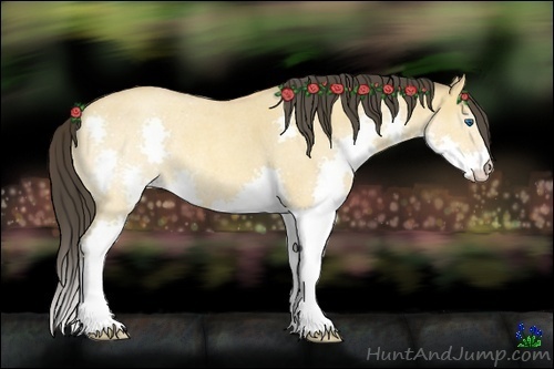 Horse Color:Amber Champagne Roan Dun Splash Rabicano 