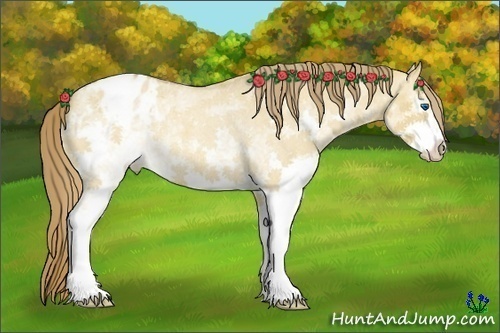 Horse Color:White Spotted Red Dun Roan Splash Varnish Rabicano 