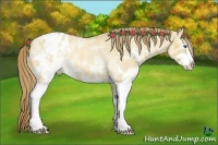 Horse Color:White Spotted Red Dun Roan Splash Varnish Rabicano