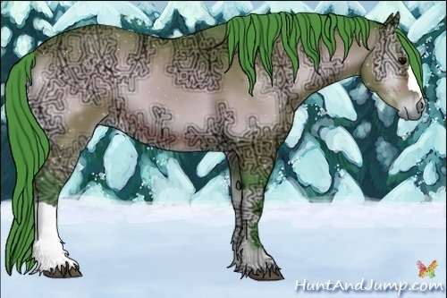 Horse Color:ERROR: UNKNOWN ANOMALY