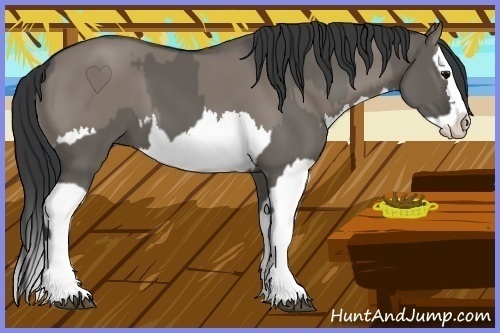 Horse Color:Grullo Sabino Splash  and Grullo Sabino Splash 