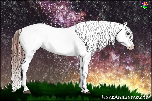 Horse Color:Bay Roan Varnish