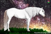 Horse Color:Bay Roan Varnish