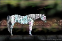 Horse Color:ERROR: UNKNOWN ANOMALY and Thunderstruck Liver Red Dun Sabino Appaloosa