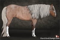 Horse Color:Silver Bay Roan