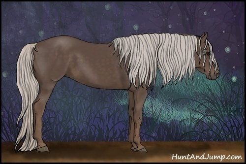 Horse Color:Silver Black 