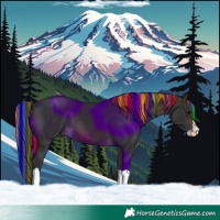 Horse Color:Painted Brown Splash