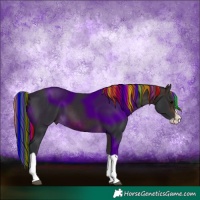 Horse Color:Painted Brown Splash 