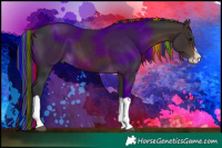 Horse Color:Painted Brown Splash