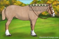 Horse Color:Red Roan Splash 