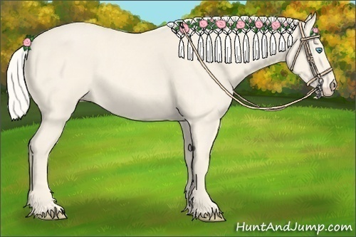 Horse Color:Cremello Roan 