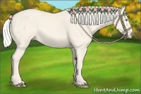 Horse Color:Cremello Roan