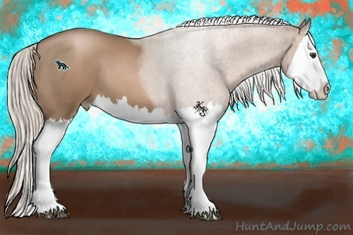 Horse Color:Silver Black Pearl Splash