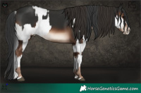 Horse Color:Black Sabino Splash and Liver Chestnut Splash