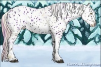 Horse Color:Palomino Leopard and Smoky Black Leopard