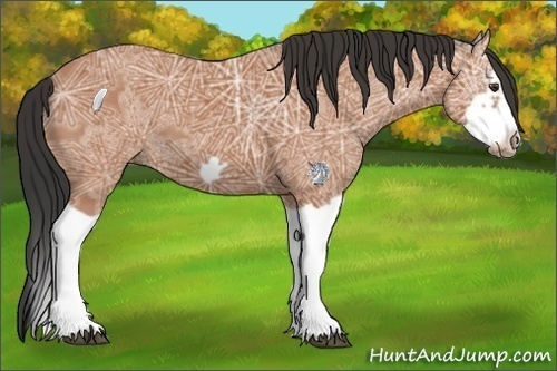 Horse Color:Bay Ice Splash Frame 