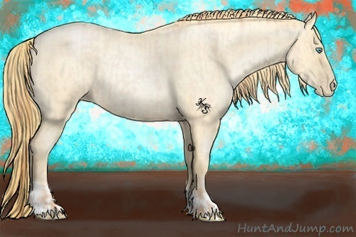 Horse Color:Buckskin Roan Pearl  and Buckskin Roan Pearl Rabicano 