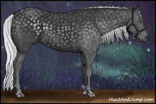 Horse Color:Silver Black Chinchilla
