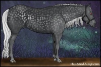 Horse Color:Silver Black Chinchilla 