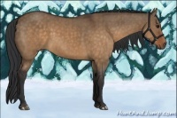 Horse Color:Brown Dun Brindle 