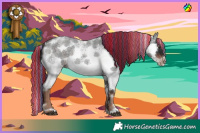 Horse Color:Painted Liver Red Roan Splash Tobiano 