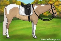 Horse Color:Chocolate Silver Buckskin Tobiano