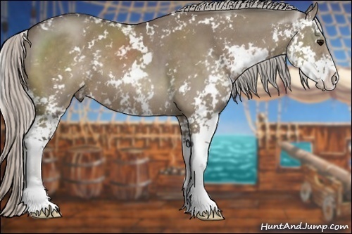 Horse Color:Silver Grullo Sabino 