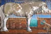 Horse Color:Silver Grullo Sabino 