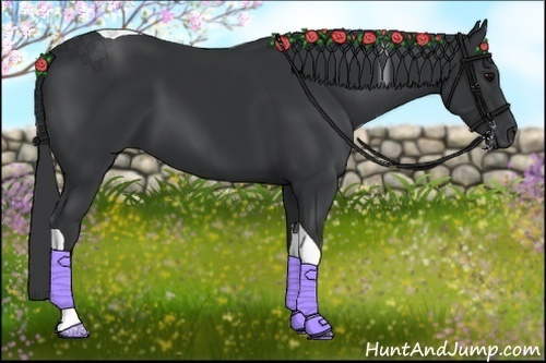 Horse Color:Black Tobiano 