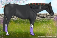 Horse Color:Black Tobiano 
