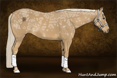 Horse Color:Palomino Ice 