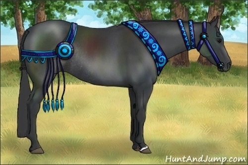 Horse Color:Black Rabicano