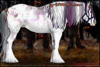 Horse Color:Plaid White Spotted Brown Ice Onyx Splash Varnish