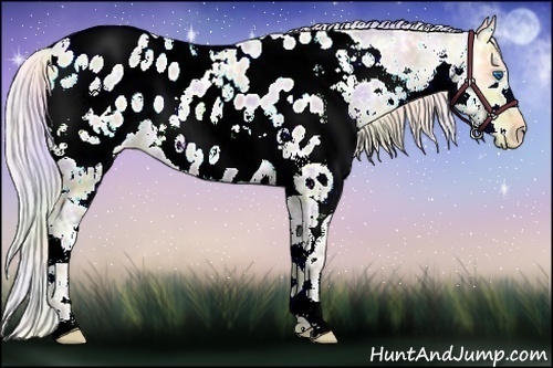 Horse Color:Nacre White Spotted Silver Sable Champagne Ice Dun Splash Near Leopard 