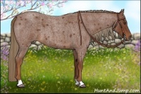 Horse Color:Red Roan 