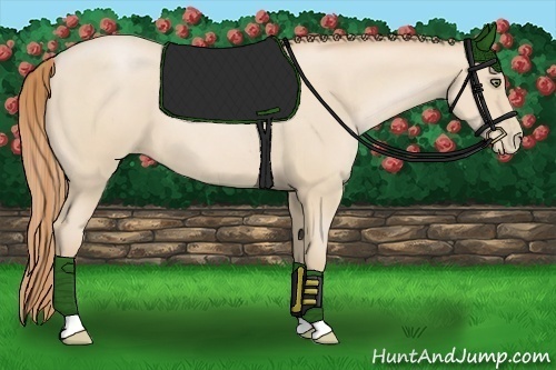 Horse Color:Smoky Black Pearl 