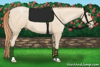 Horse Color:Smoky Black Pearl 