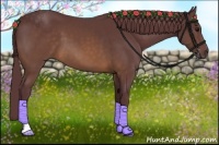 Horse Color:Chocolate Buckskin 