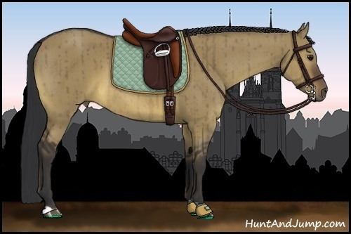 Horse Color:Brown Dun Brindle 