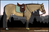 Horse Color:Brown Dun Brindle 