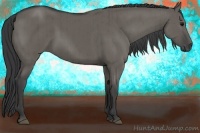 Horse Color:Grullo Brindle