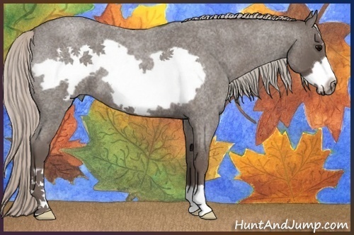 Horse Color:Silver Blue Roan Frame